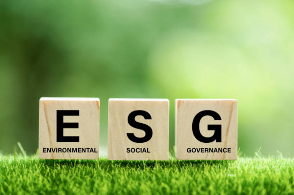 El misterio del ESG